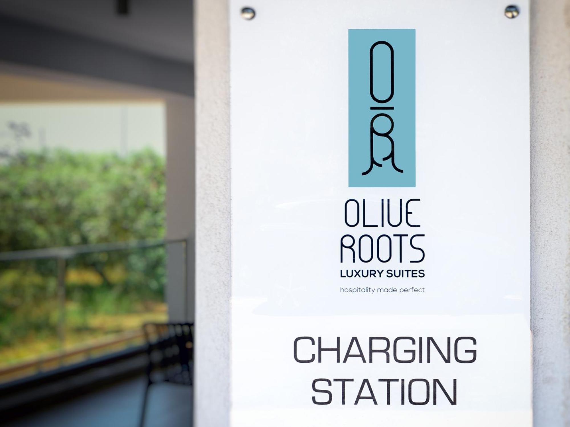 Hotel Olive Roots Skala Rachoni  Exteriér fotografie